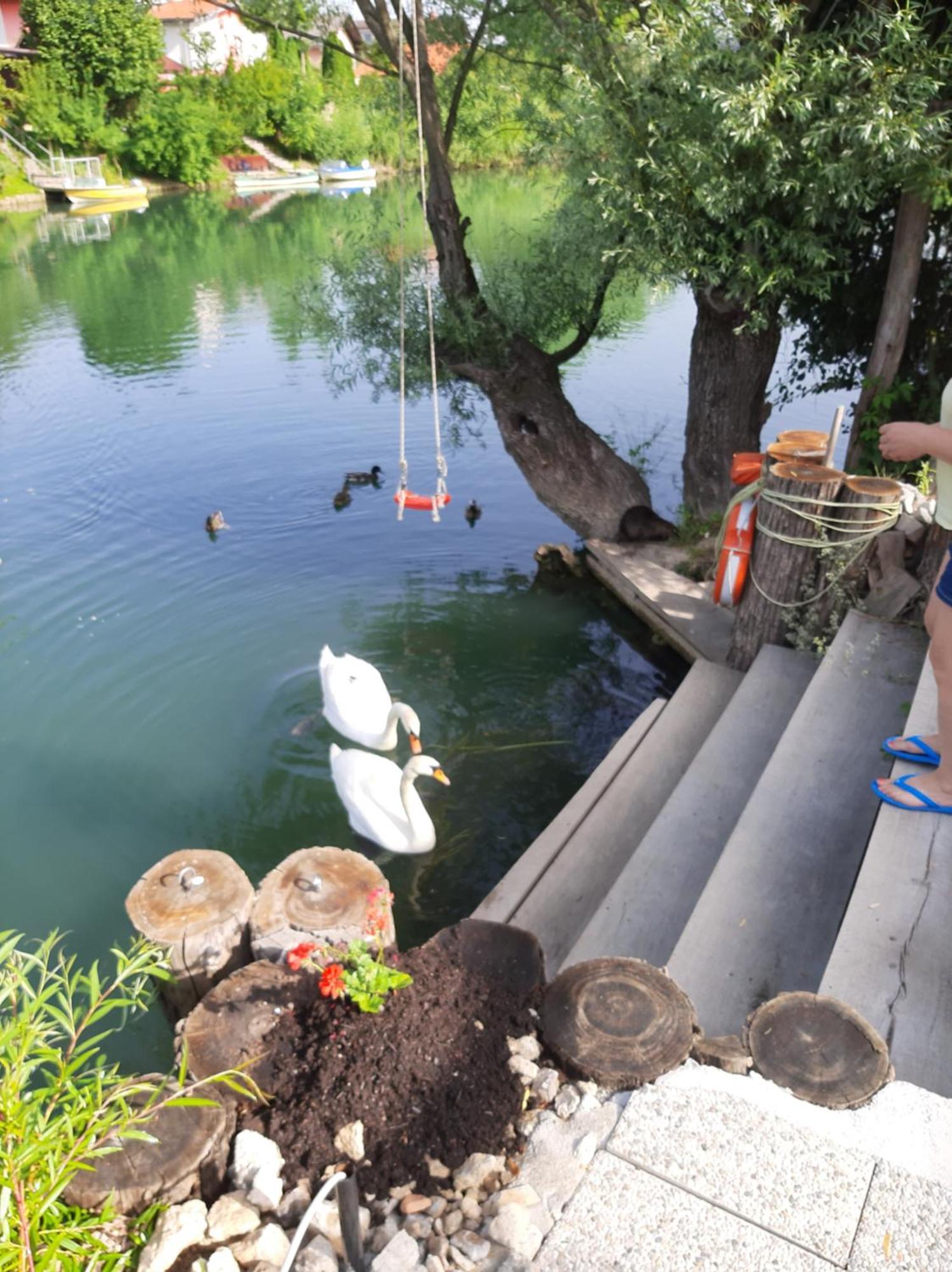 River Houses Ljubljanica Λιουμπλιάνα Εξωτερικό φωτογραφία
